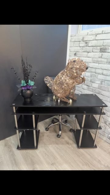 ✨ SELFIE SPOT ALERT ✨
Say hi to Maeve the Beaver 🦫💖
She’s our official photo buddy and she’s very into being tagged.
📸 Snap a selfie with Maeve
📲 Post it to your socials
🏷 Tag @MavenBeautyLounge
🎉 You’ll be entered to win your next Brazilian FREE
It’s our little way of saying thank you for supporting local, showing up, and being part of the Maven community.
Confidence looks good on you — and Maeve agrees 😉
#MavenBeautyLounge #yegwaxing #yeglocal #YEGBeauty #SupportLocalYEG