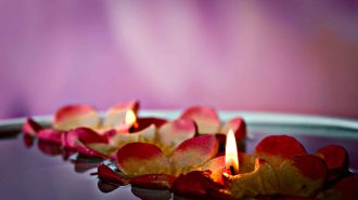 Floating rose petals with soft candlelight on water
